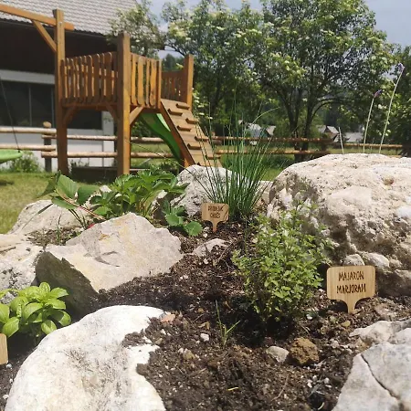 Alpine Joy Bohinj