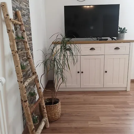 Alpine Joy * بوينج