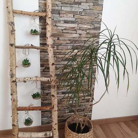 Apartment Alpine Joy *
