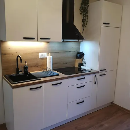 דירה Alpine Joy *