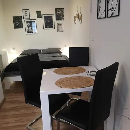Alpine Joy Apartment Bohinj