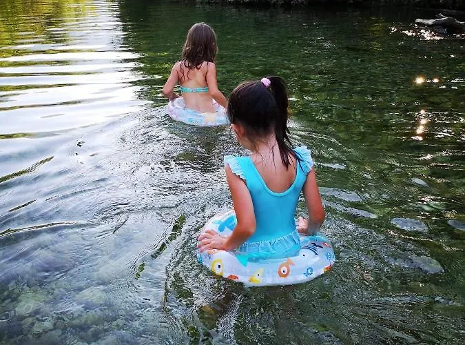 Alpine Joy 보히니