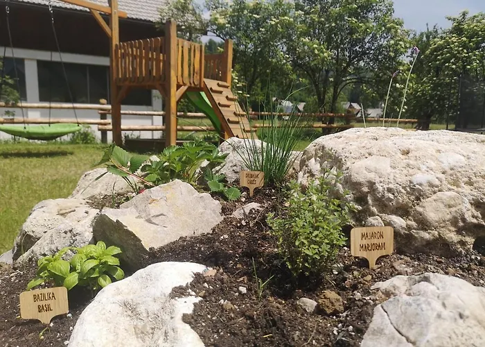 Alpine Joy 보히니