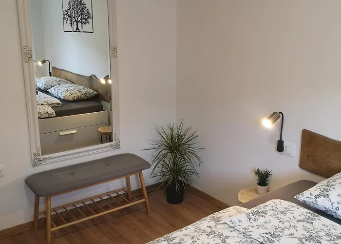 Alpine Joy * 보히니