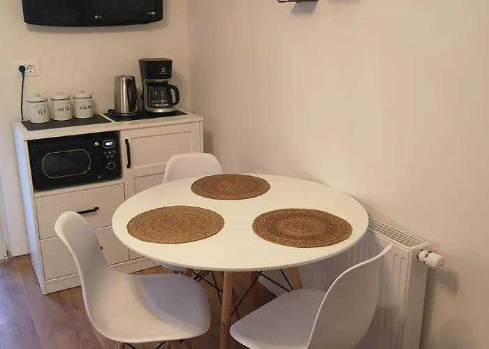 Alpine Joy 보히니