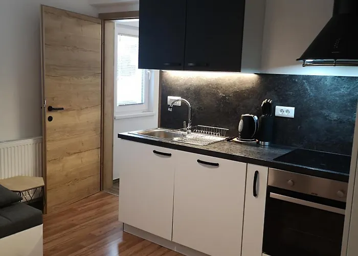 Alpine Joy 보히니