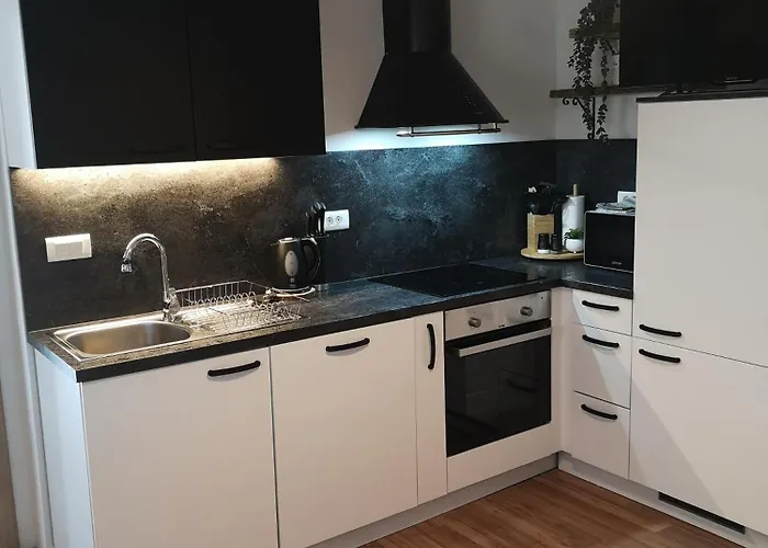 Alpine Joy 보히니