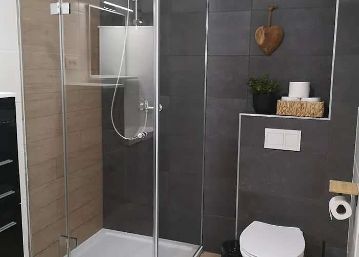 Alpine Joy * 보히니