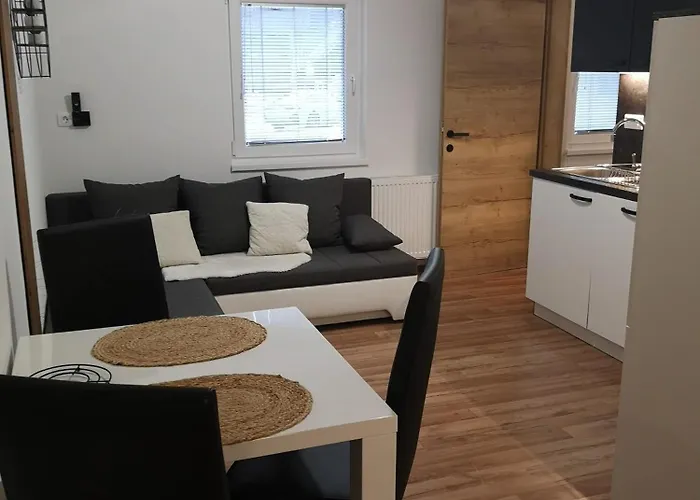 Alpine Joy * 보히니