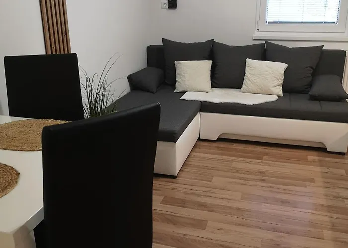 Alpine Joy * 보히니